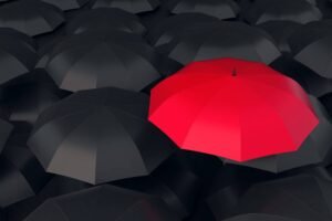 Why Choose Us presented by Spider Verse https://spiderverse.ca